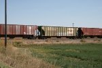 BN 461181